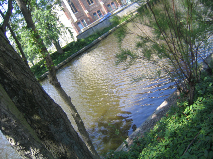 Le canal Saint Martin