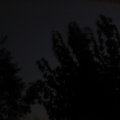 Les arbres devant la maison, de nuit (sisi, c'est pas tout noir, je vous assure)