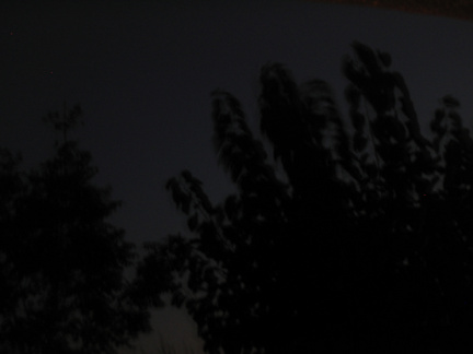 Les arbres devant la maison, de nuit (sisi, c'est pas tout noir, je vous assure)