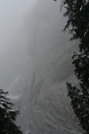 La falaise dans le brouillard