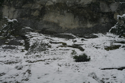 La roche sous la neige