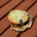Muffin (détail)