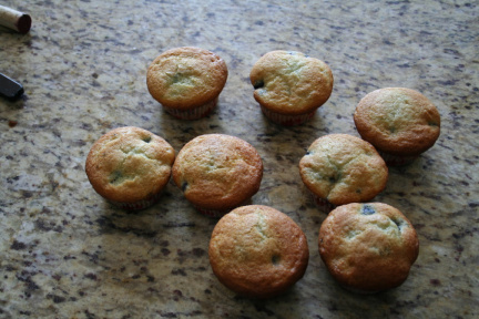 Troupeau de muffins