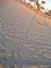 Coucher de soleil sur Venice Beach